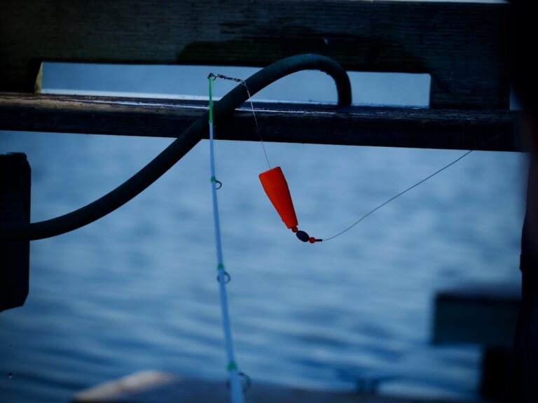 Top Tips for Choosing the Right Fishing Equipment Online