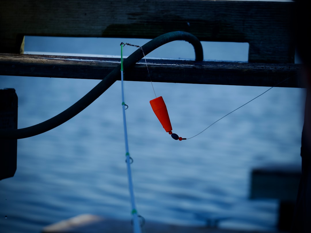Top Tips for Choosing the Right Fishing Equipment Online Top Tips for Choosing the Right Fishing Equipment Online