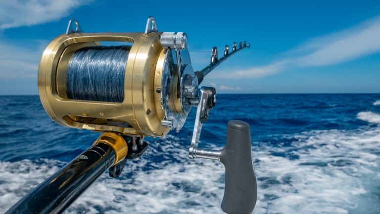 A Comprehensive Guide to Essential Fishing Gear for Beginners