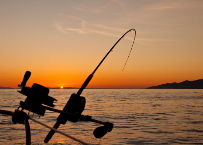 AquaQuestGear: Your One-Stop Shop for All Things Fishing