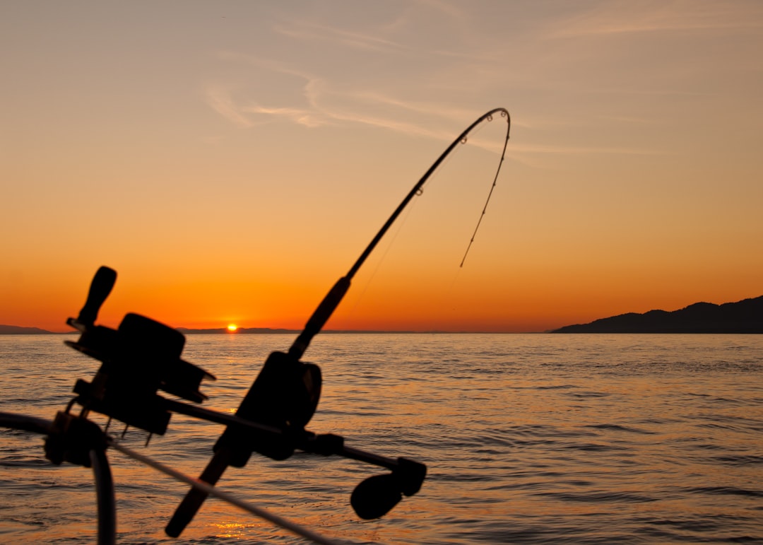 AquaQuestGear: Your One-Stop Shop for All Things Fishing AquaQuestGear: Your One-Stop Shop for All Things Fishing